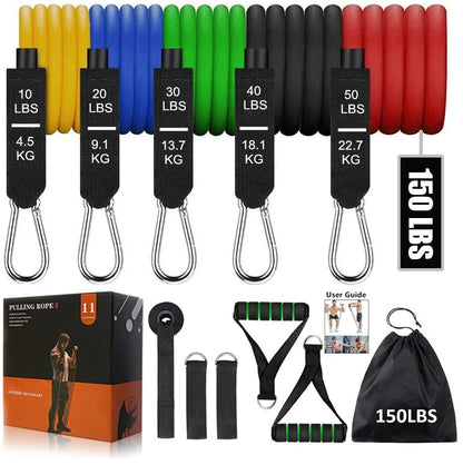 Fitness Resistance Bands - DivineLuxes
