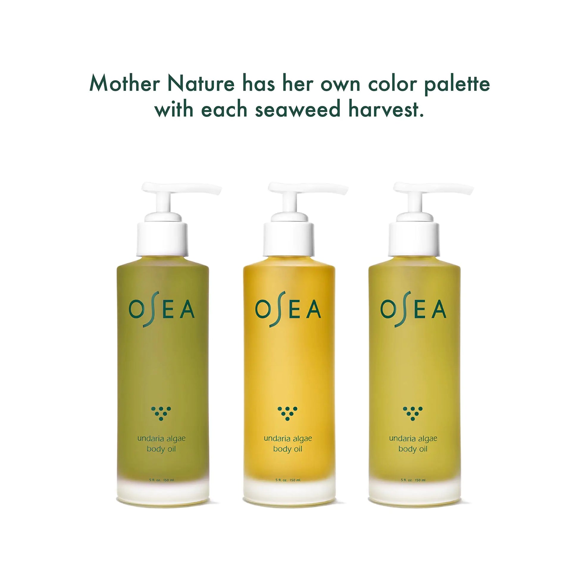 OSEA Undaria Algae™ Body Oil 5 oz - After Shower Body Oil - Non-Greasy Body Serum & Fast Absorbing Skincare - Clean Beauty & Vegan Seaweed Body Moisturizer for Dry Skin 5 Fl Oz (Pack of 1) - DivineLuxes